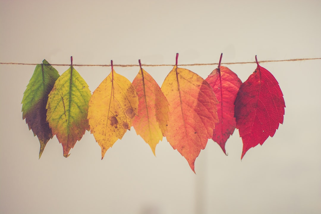 Managing Seasonal Slumps Without Losing Momentum